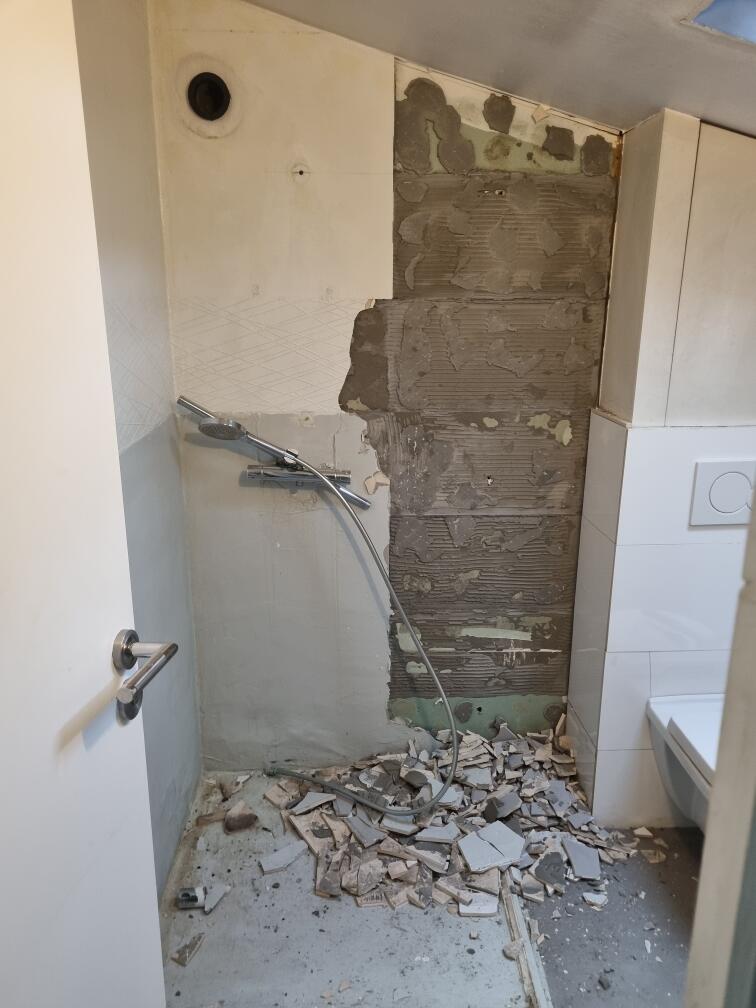 Salle de bain avant rénovation — démolition